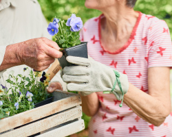 An older woman's hands and torso as she is handed a seedling